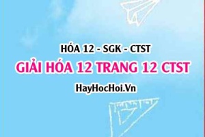 Giải Hóa 12 trang 12 Chân trời sáng tạo SGK
